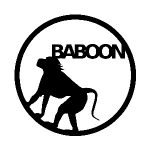 Baboon Outdoors