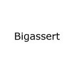 Bigassert