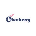 Blueberry Kids Store