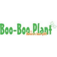 Boo-Boo Plant