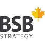 BSB-STRATEGY