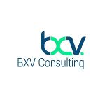 BXV Consulting