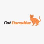 Cat Paradise