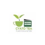 Cyato Tea