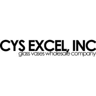 CYS Excel