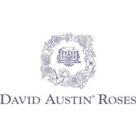 David Austin Roses