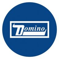 Domino Record Company