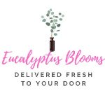Eucalyptus Blooms