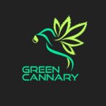 GREEN CANNARY