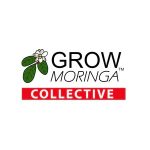 Grow Moringa