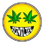 Joint Life Collective