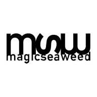 Magicseaweed