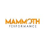 Mammoth Performance
