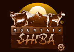 Mountain Shiba