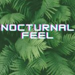 Nocturnal Feel
