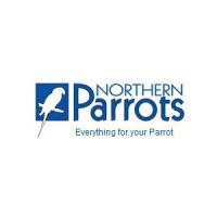 Northern Parrot