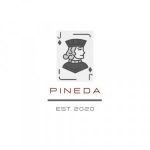 Pineda Store