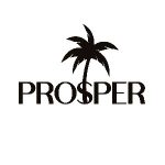 Prosper Palm Tree