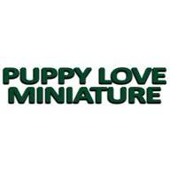 Puppy Love Miniature