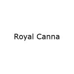Royal Canna