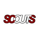 SCOUTS OUT