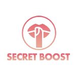 SecretBoost Agency