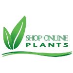 Shop Online Plants