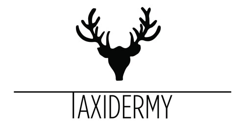 Taxidermy DE
