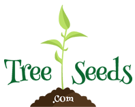 Treeseeds.Com