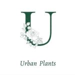 Urban Plants