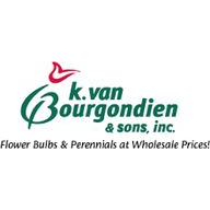 Van Bourgondien Dutch Bulbs