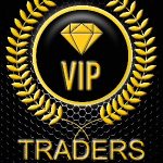 VIP Traders Inc