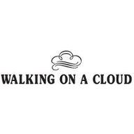 Walking On A Cloud