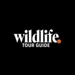 Wildlife Tour Guide