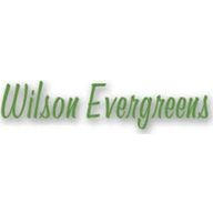 Wilson Evergreens